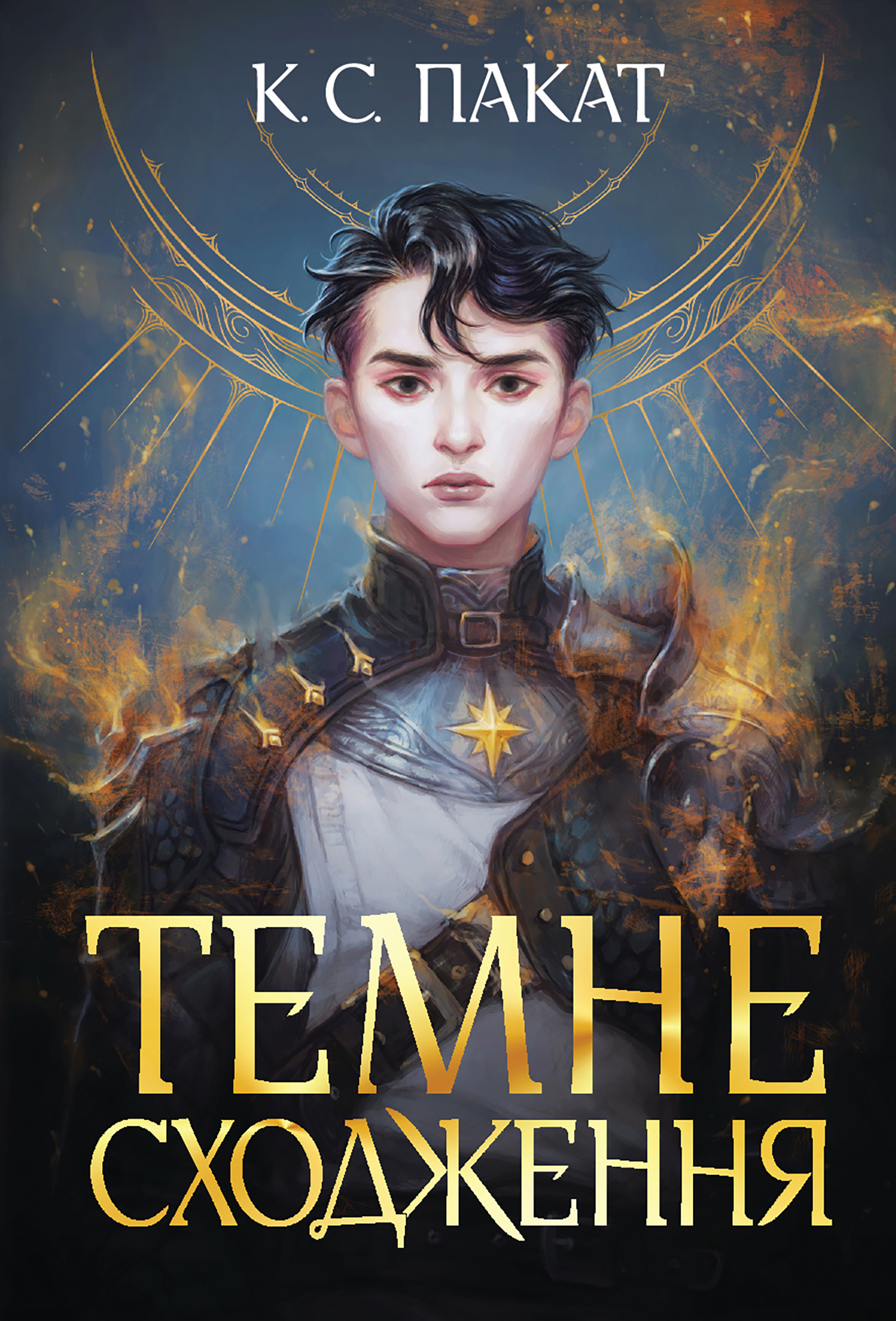 E-book: Темне сходження. Книга 1