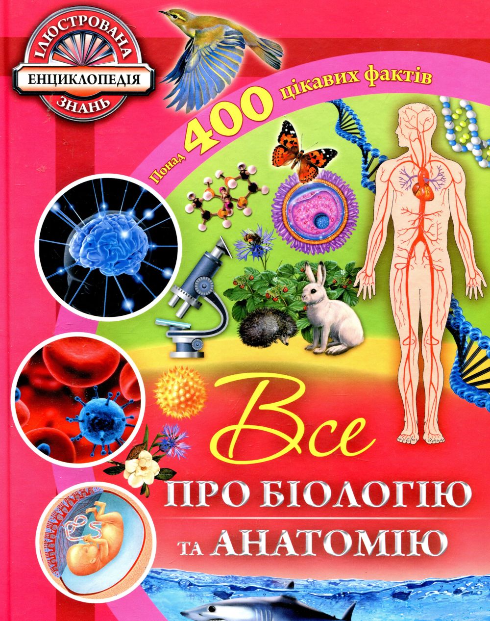 Все про біологію та анатомію
