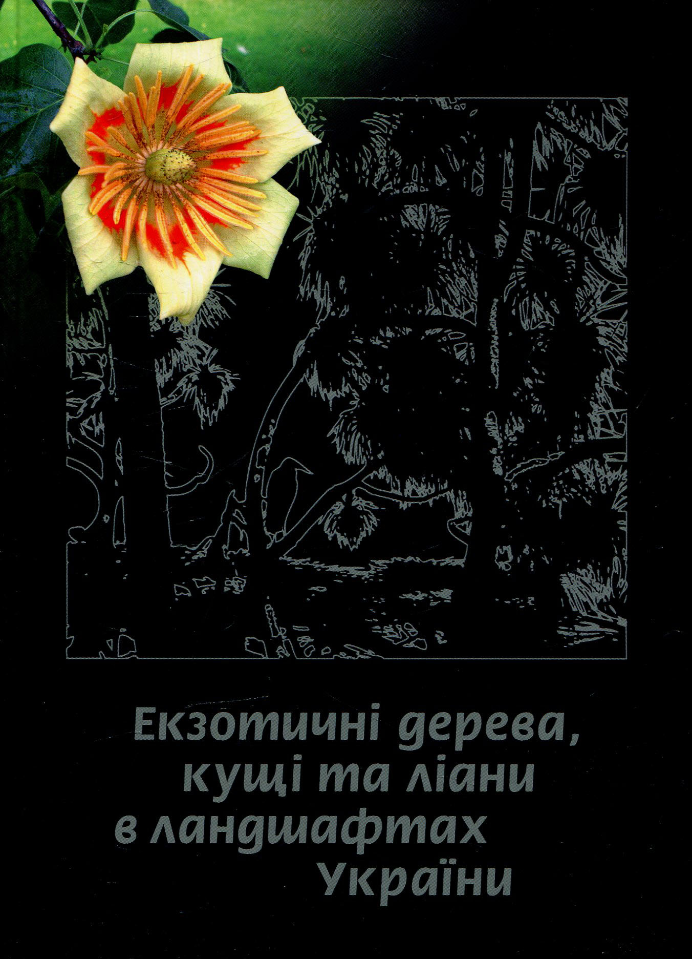 Екзотичні дерева, кущі та ліани в ландшафтах України