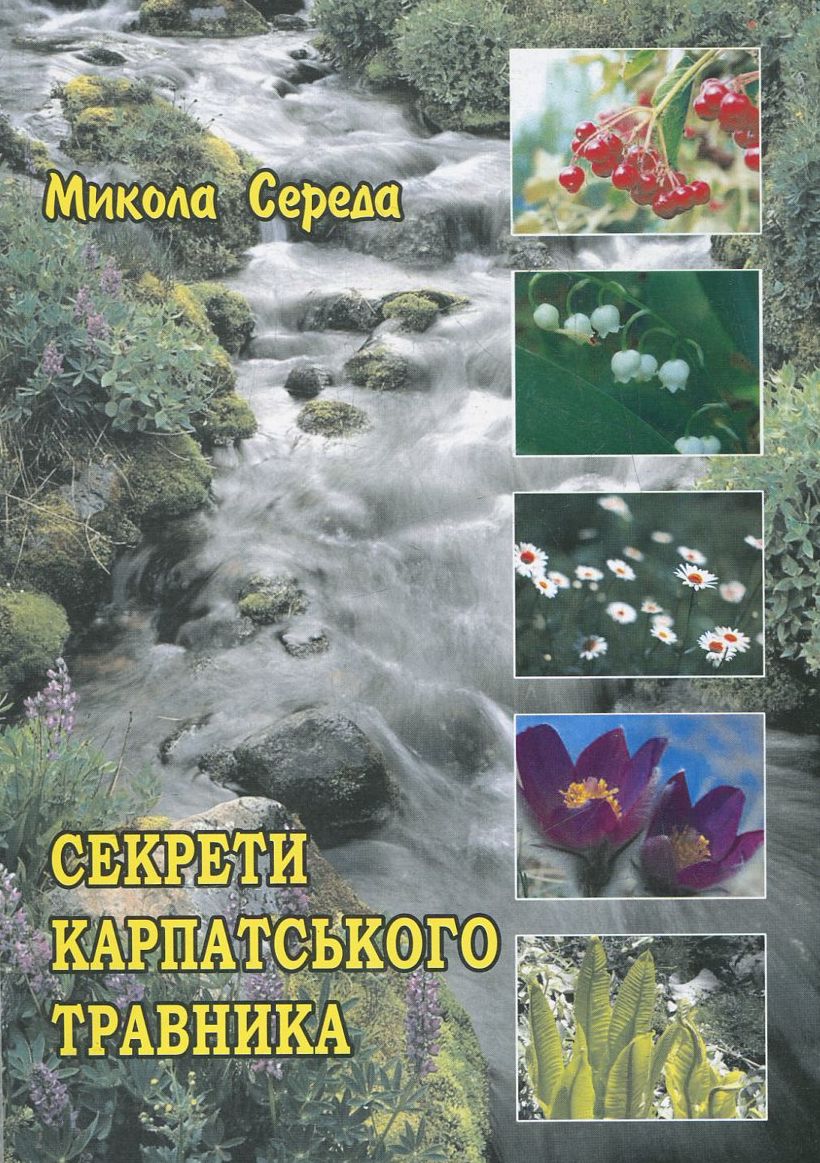 Булава і серце. Великі романи великих людей