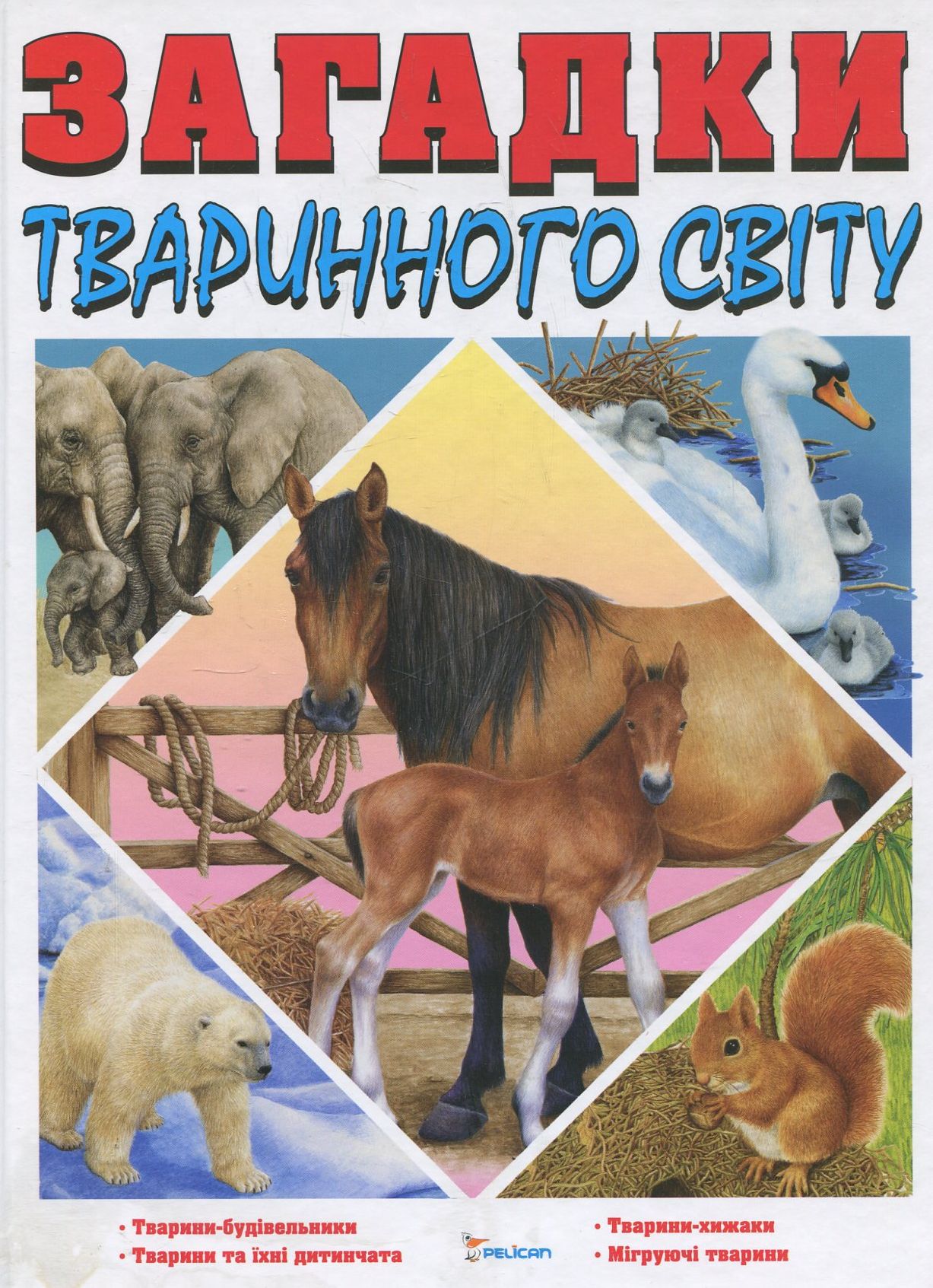 Загадки тваринного світу