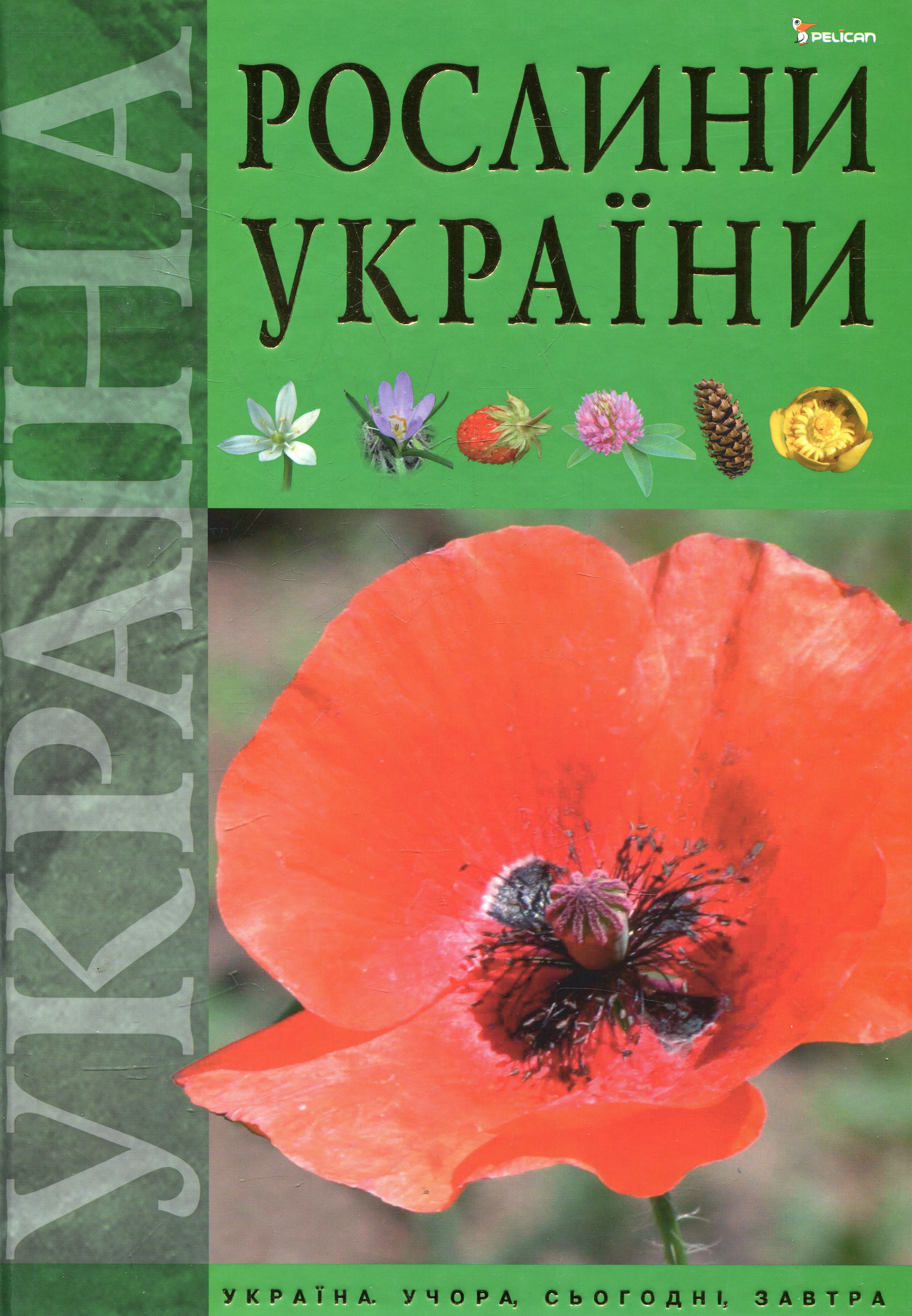 Рослини України