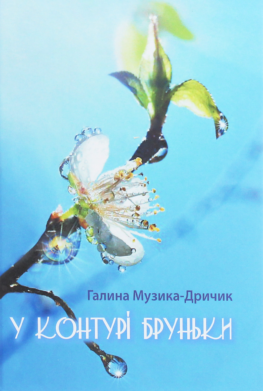 У контурі  бруньки