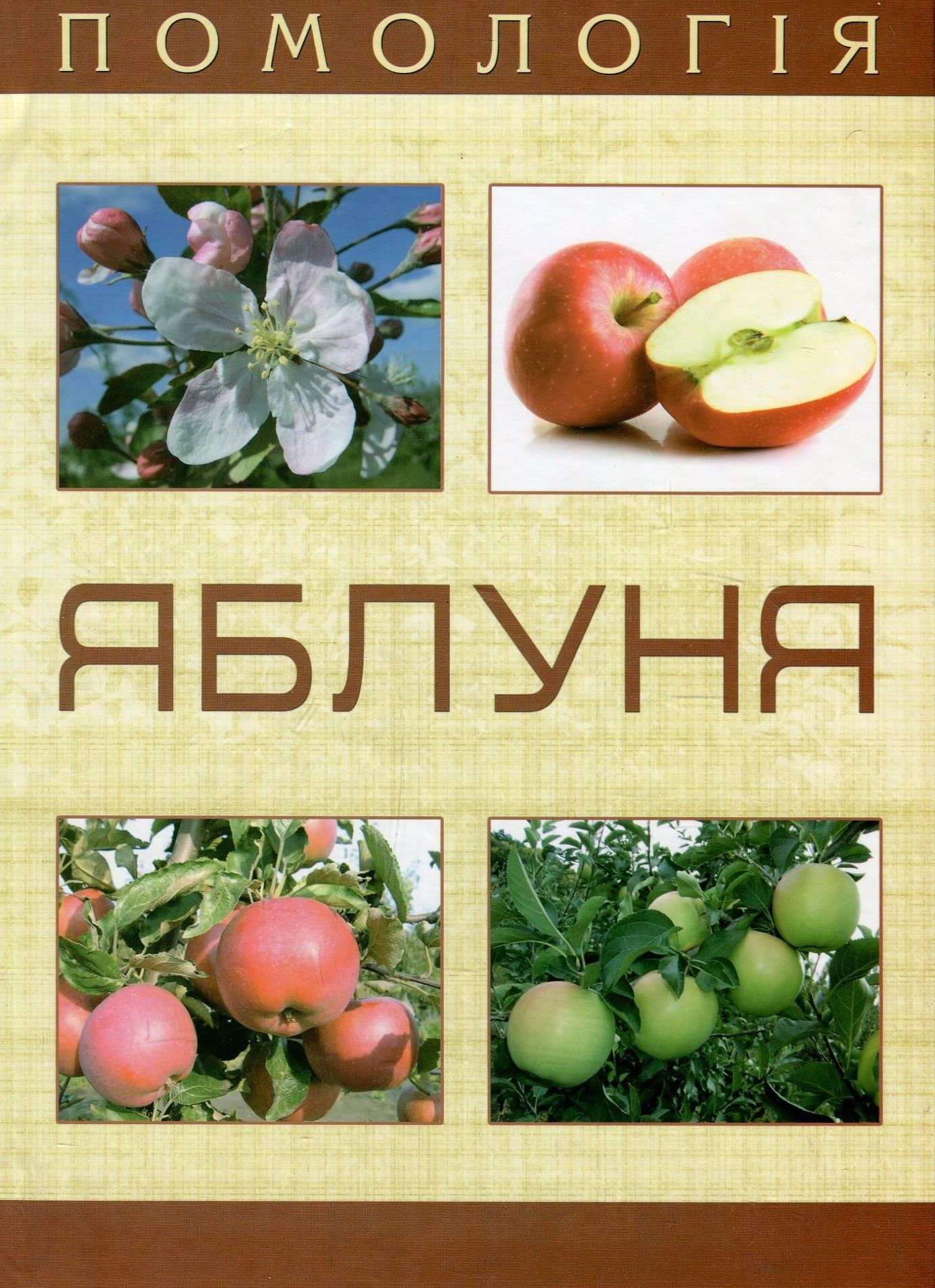 Помологія. Яблуня