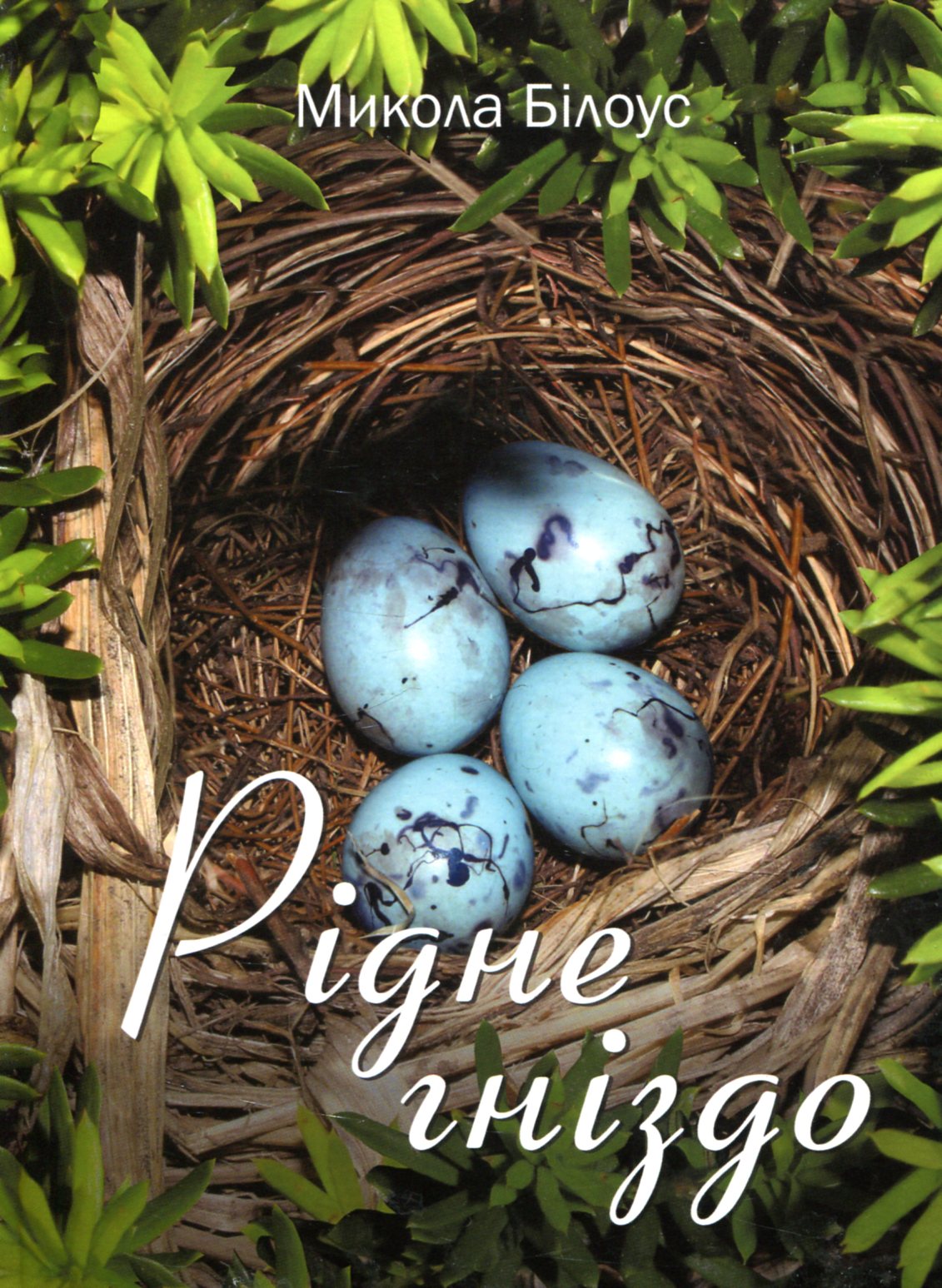 Рідне гніздо