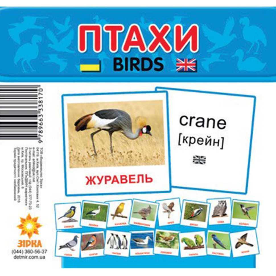 Картонні картки міні. Птахи (birds)
