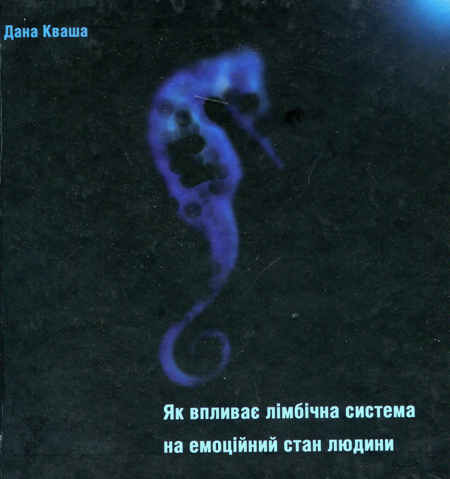 Як впливає лімбічна система на емоційний стан людини