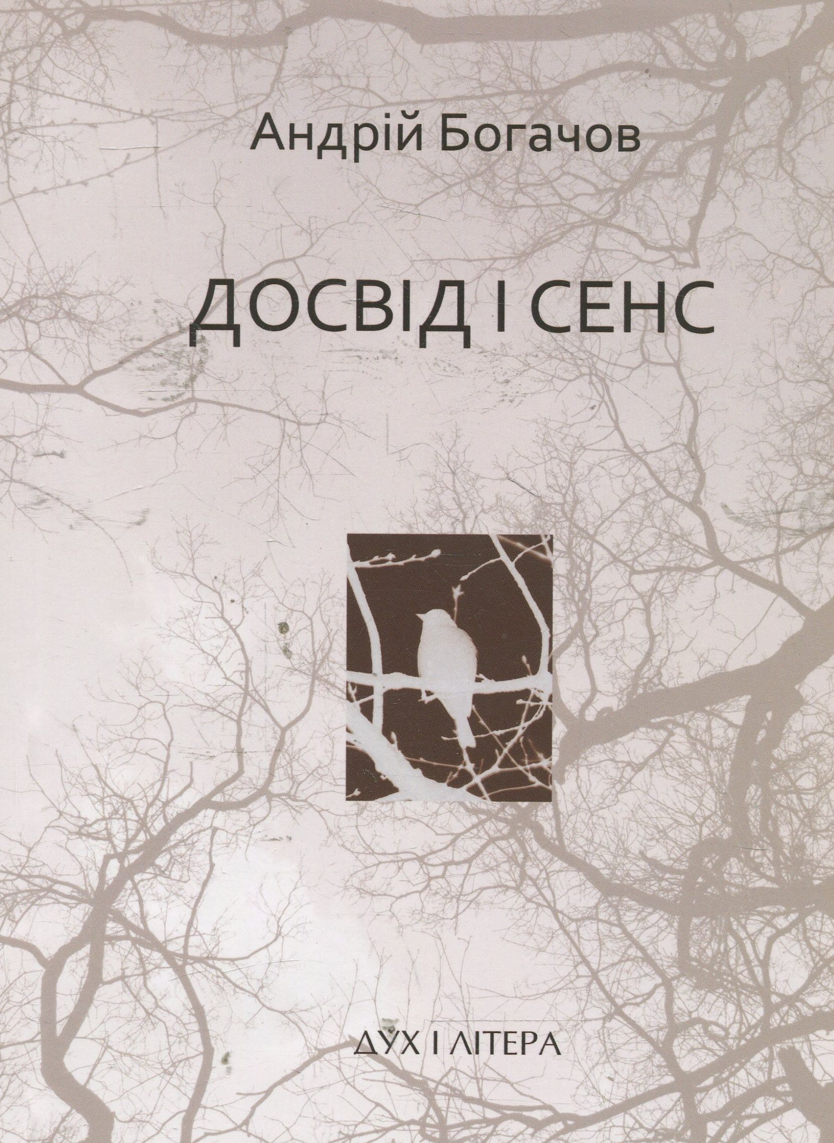 Досвід і сенс