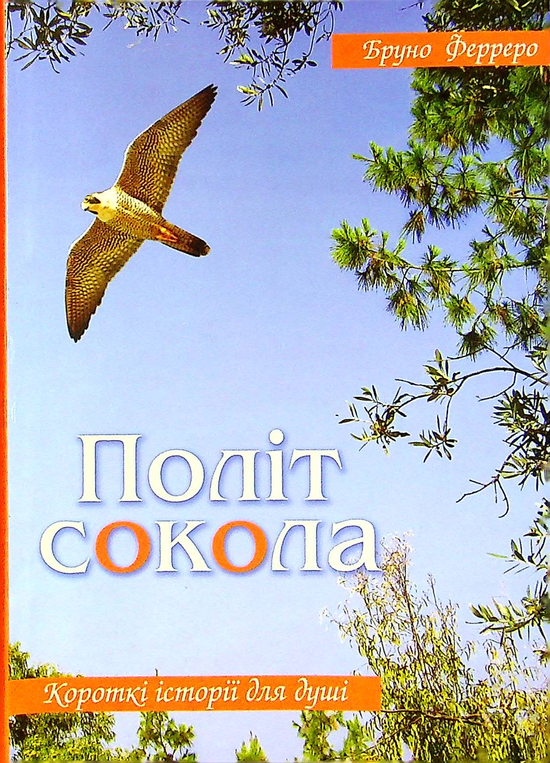 Політ сокола