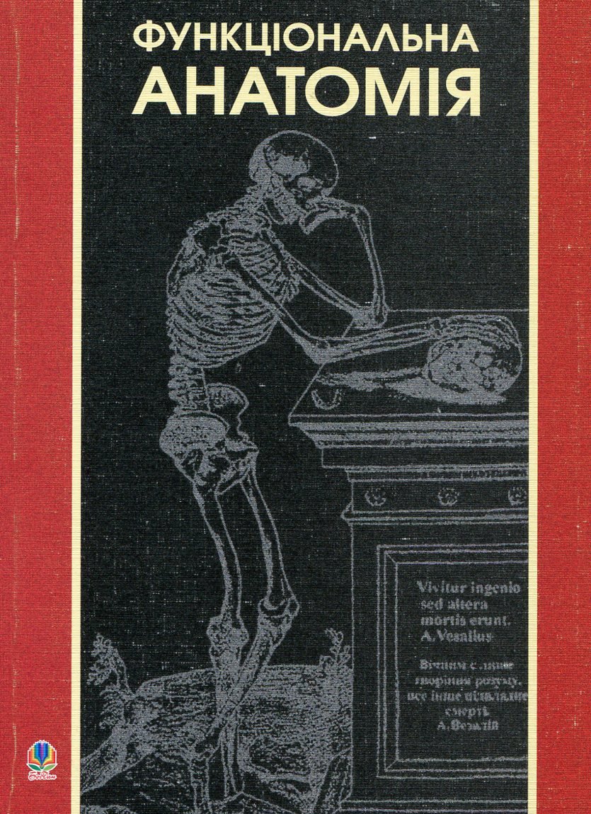 Функціональна анатомія