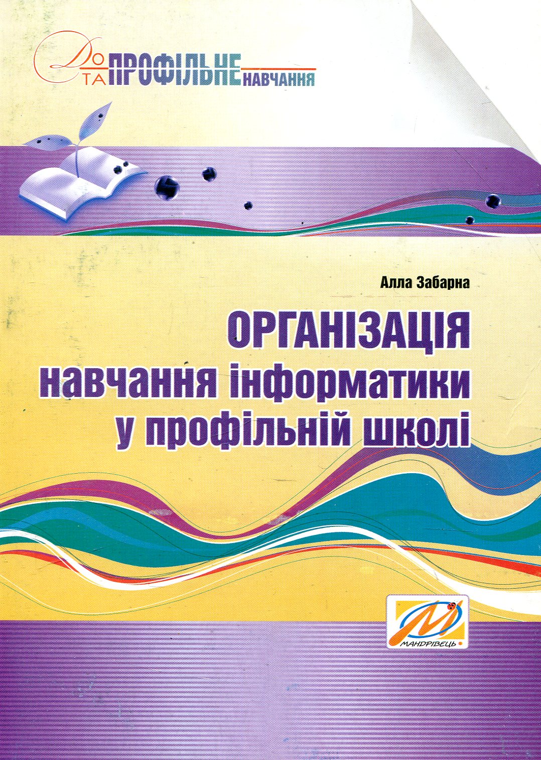 Організація навчання інформатики у профільній школі