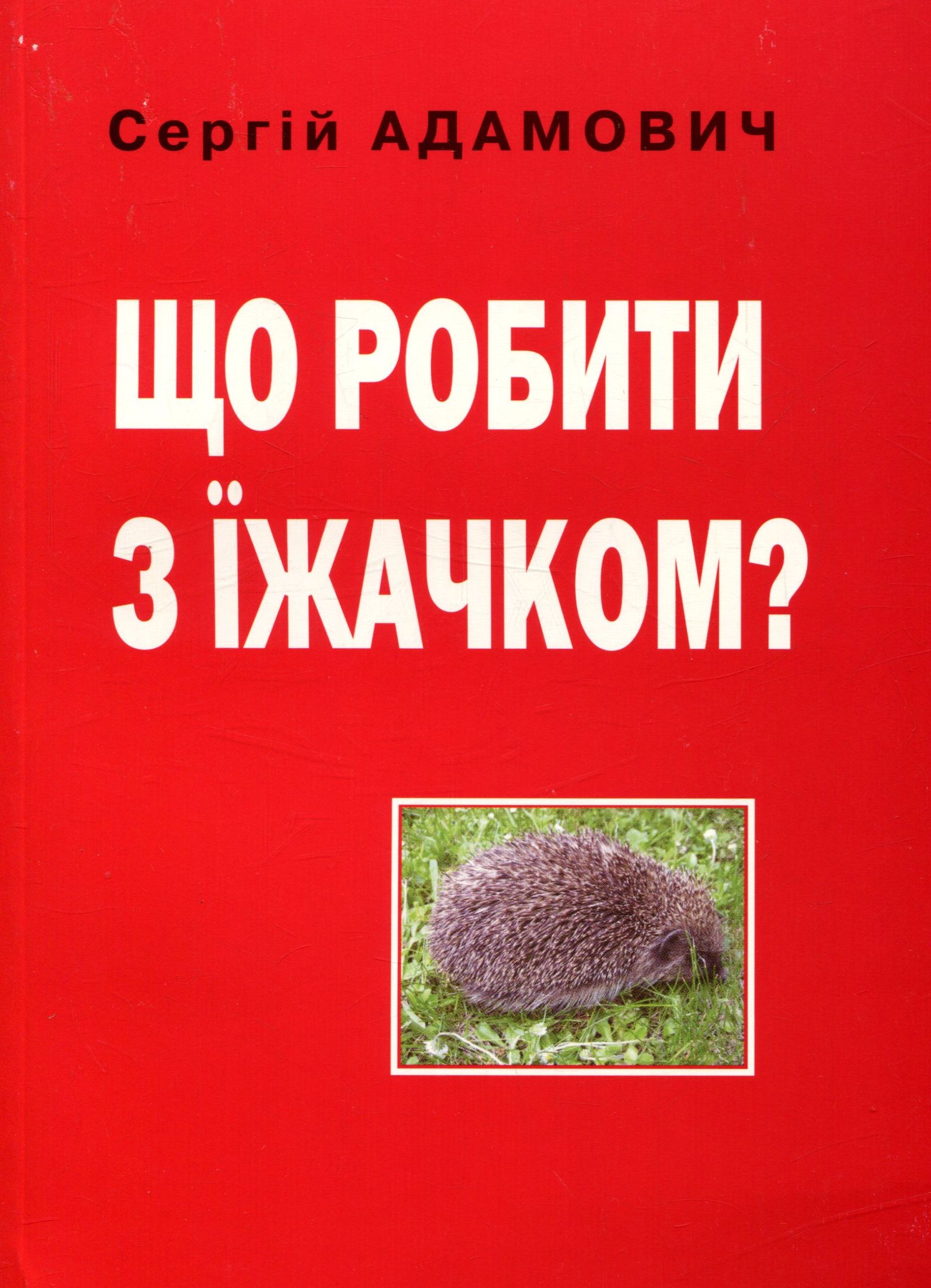 Що робити з їжачком?
