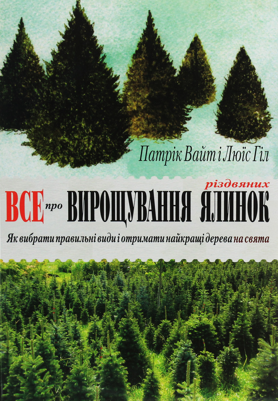 Все про вирощування різдвяних ялинок