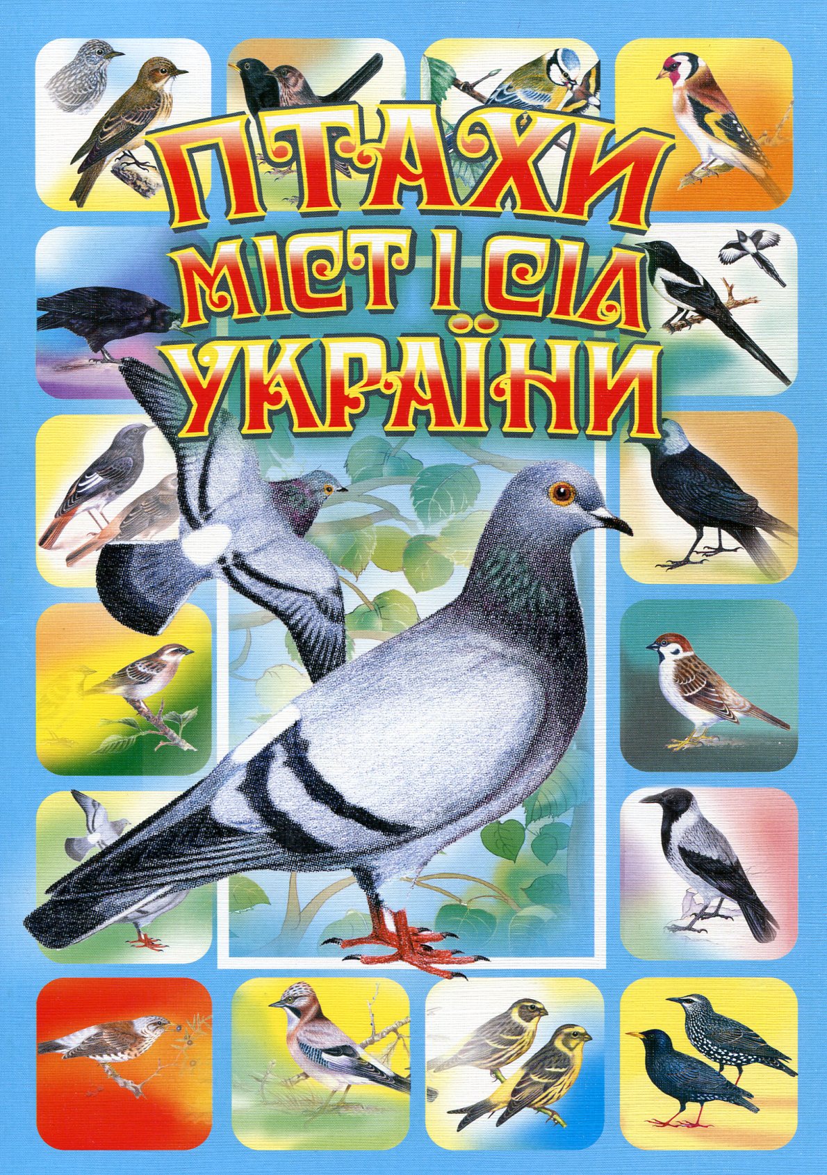 Птахи міст і сіл України