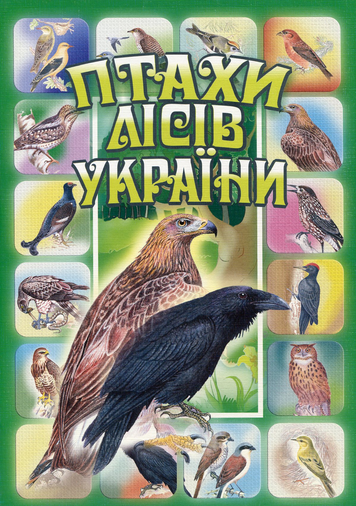 Комплект наочності "Птахи лісів України"