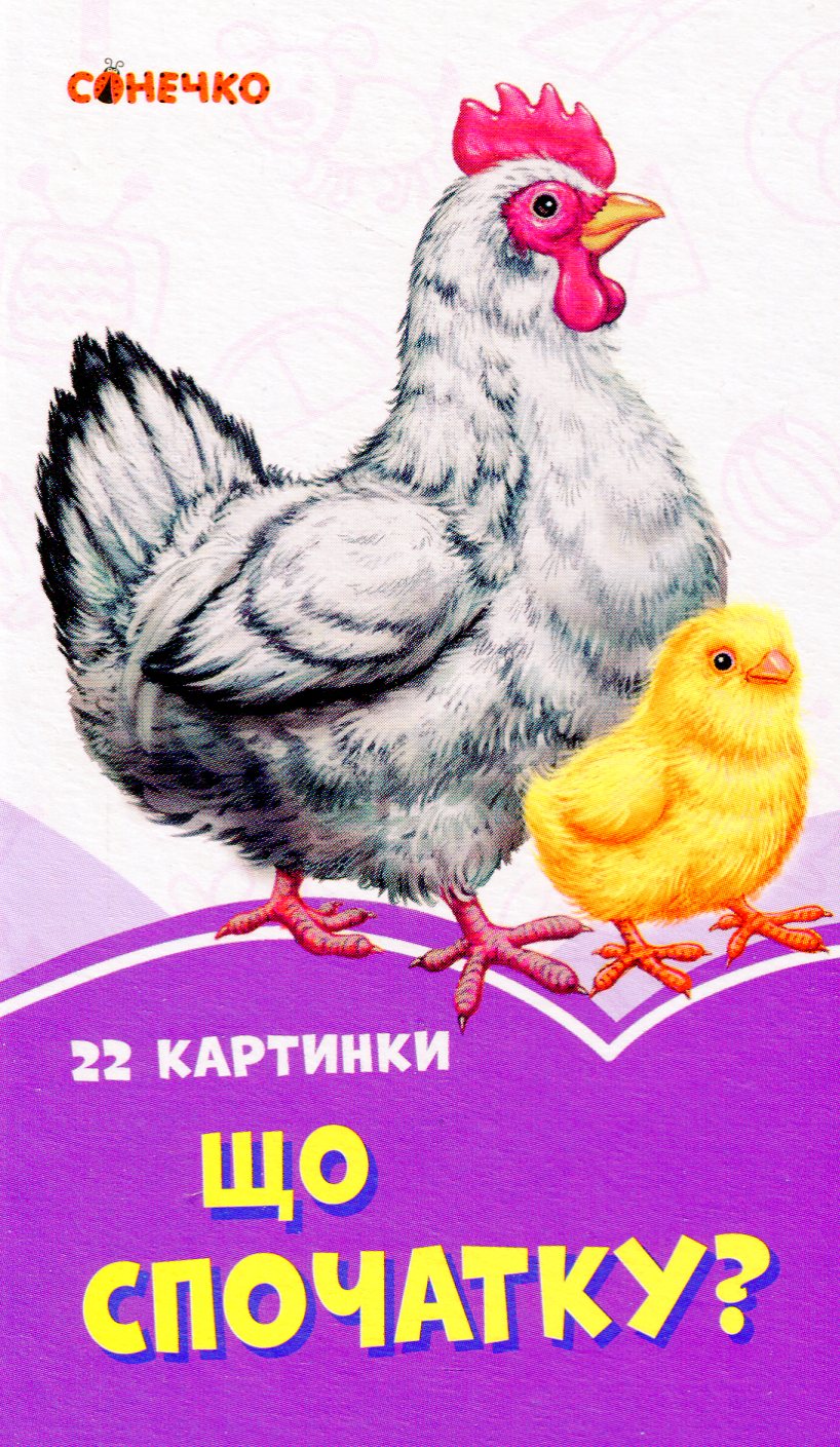 Бузкові книжки. 22 картинки. Що спочатку?