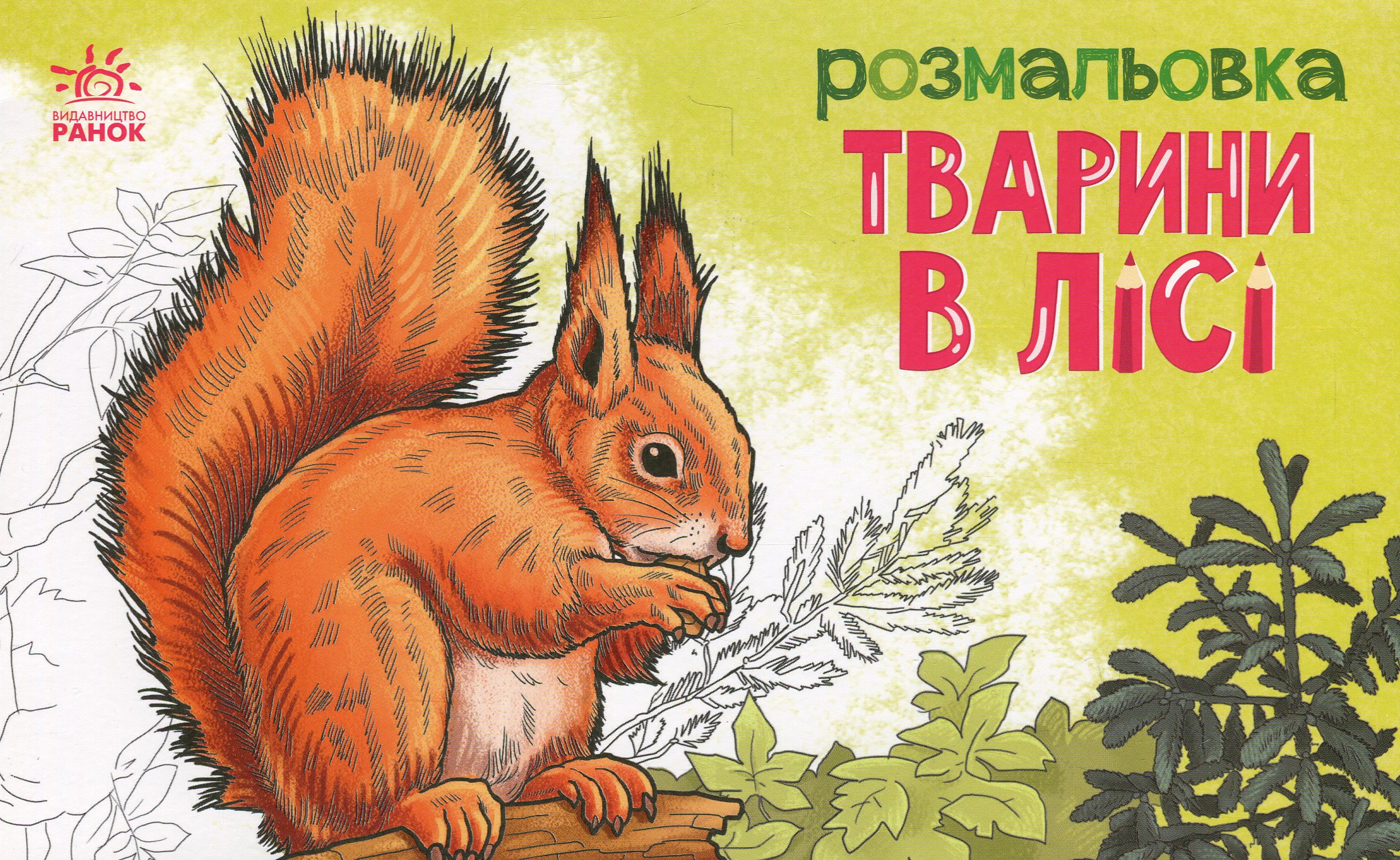 Розмальовка з тваринами. Тварини в лісі