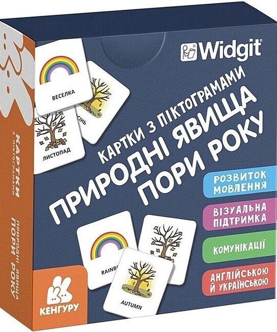 Картки з піктограмами. Природні явища. Пори року