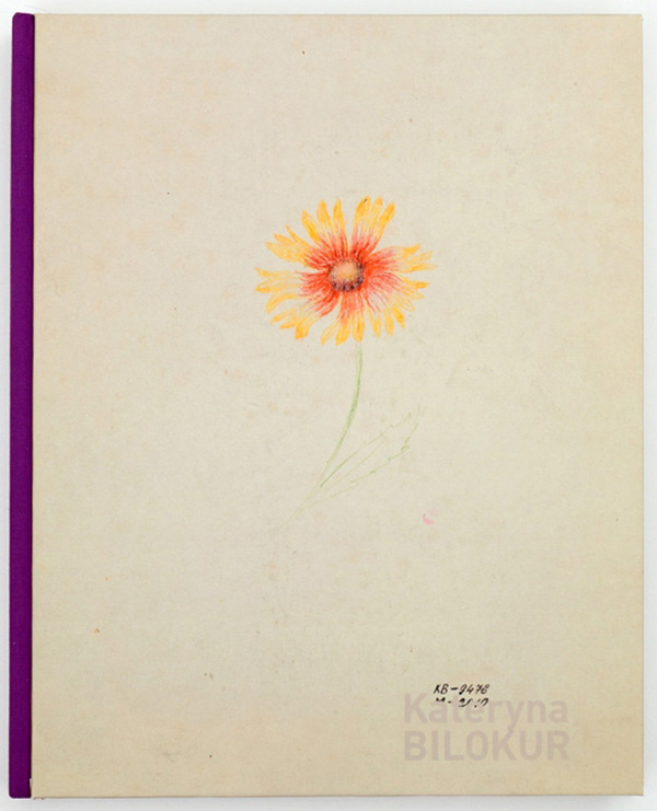 Катерина Білокур. Мистецтво народне, наївне чи високе? / Kateryna Bilokur: Outsider, Folk Artist, Fine Artist?