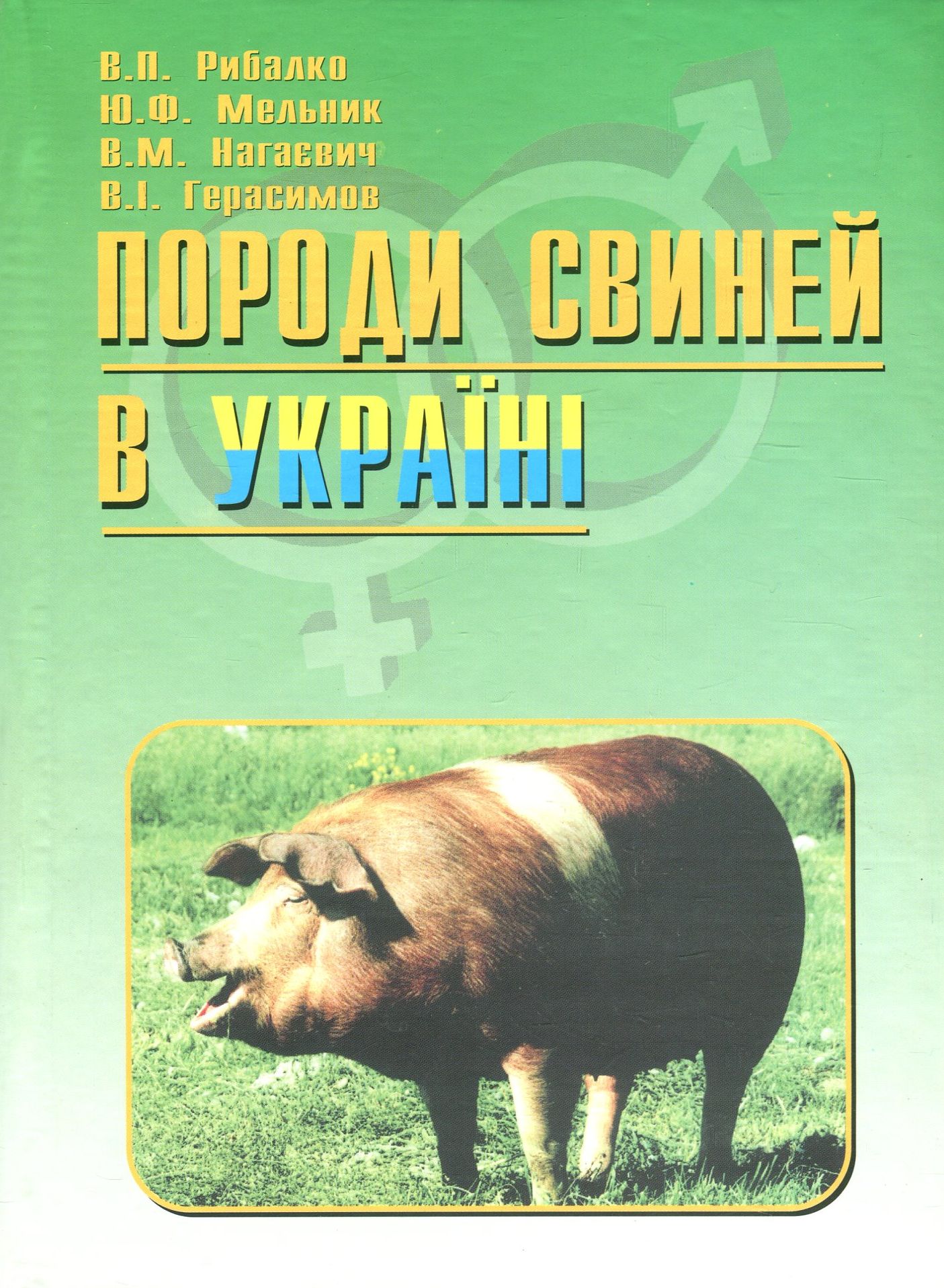 Породи свиней в Україні