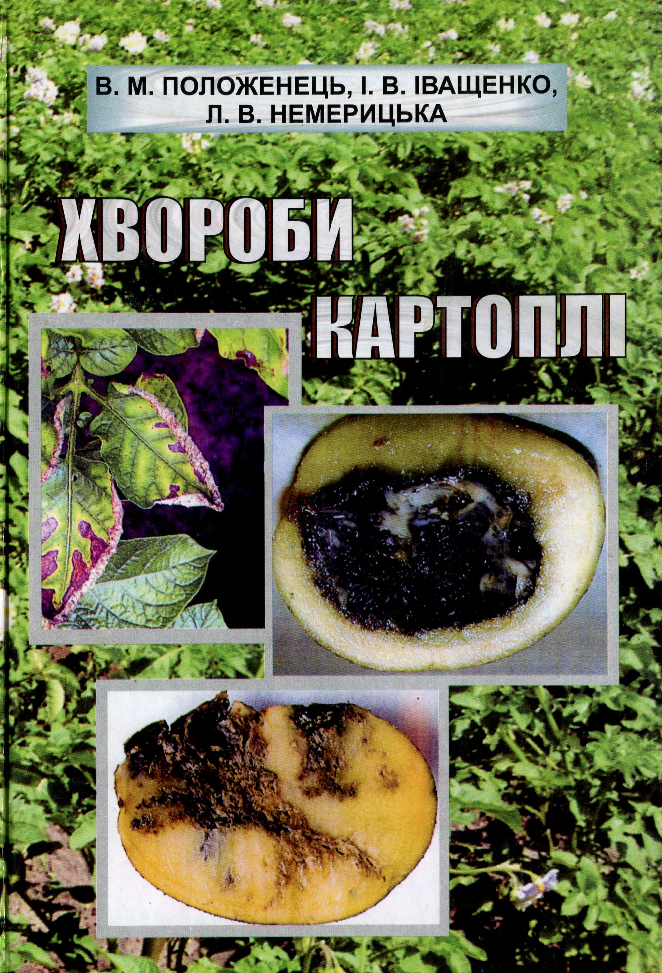 Хвороби картоплі