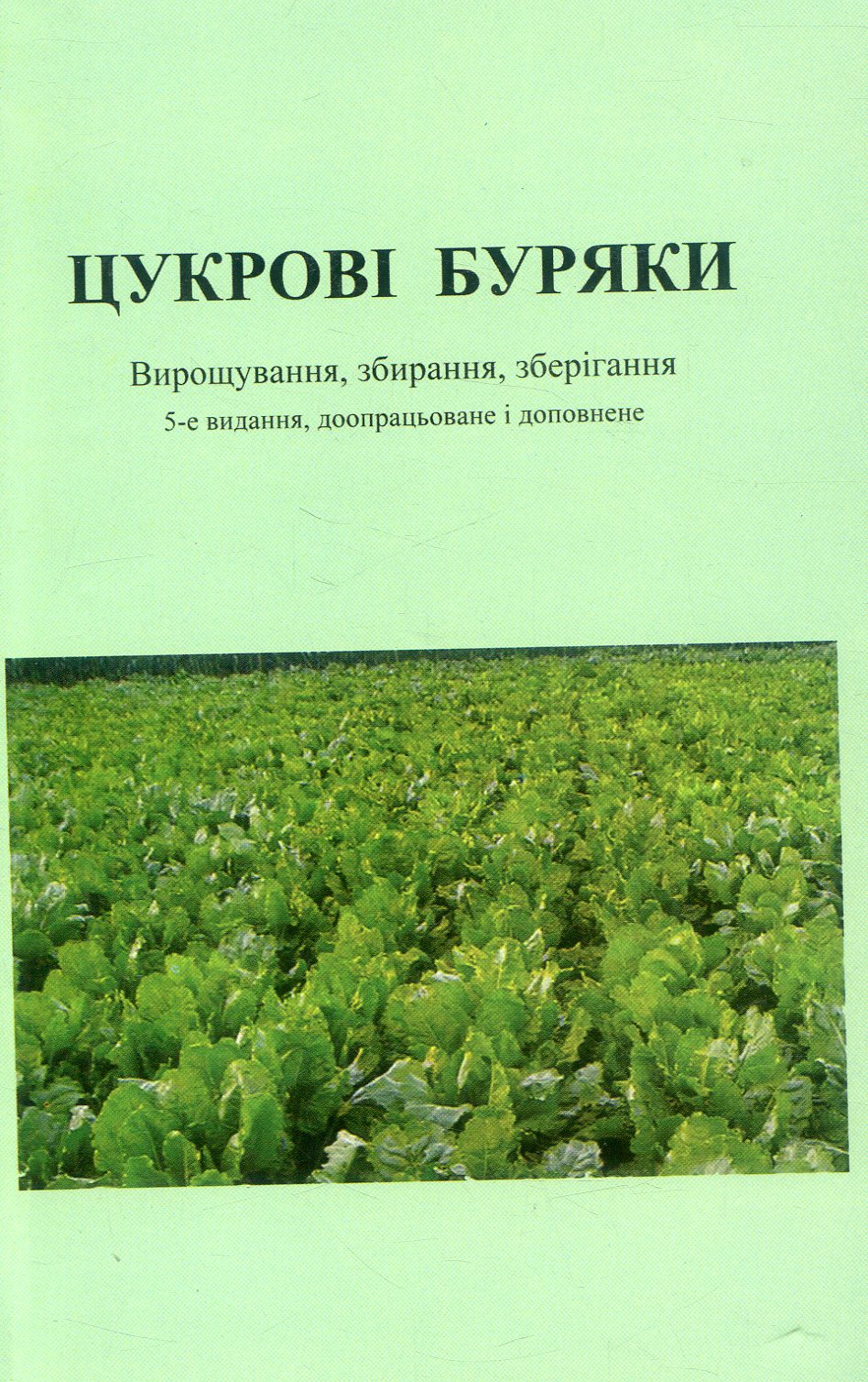 Цукрові буряки
