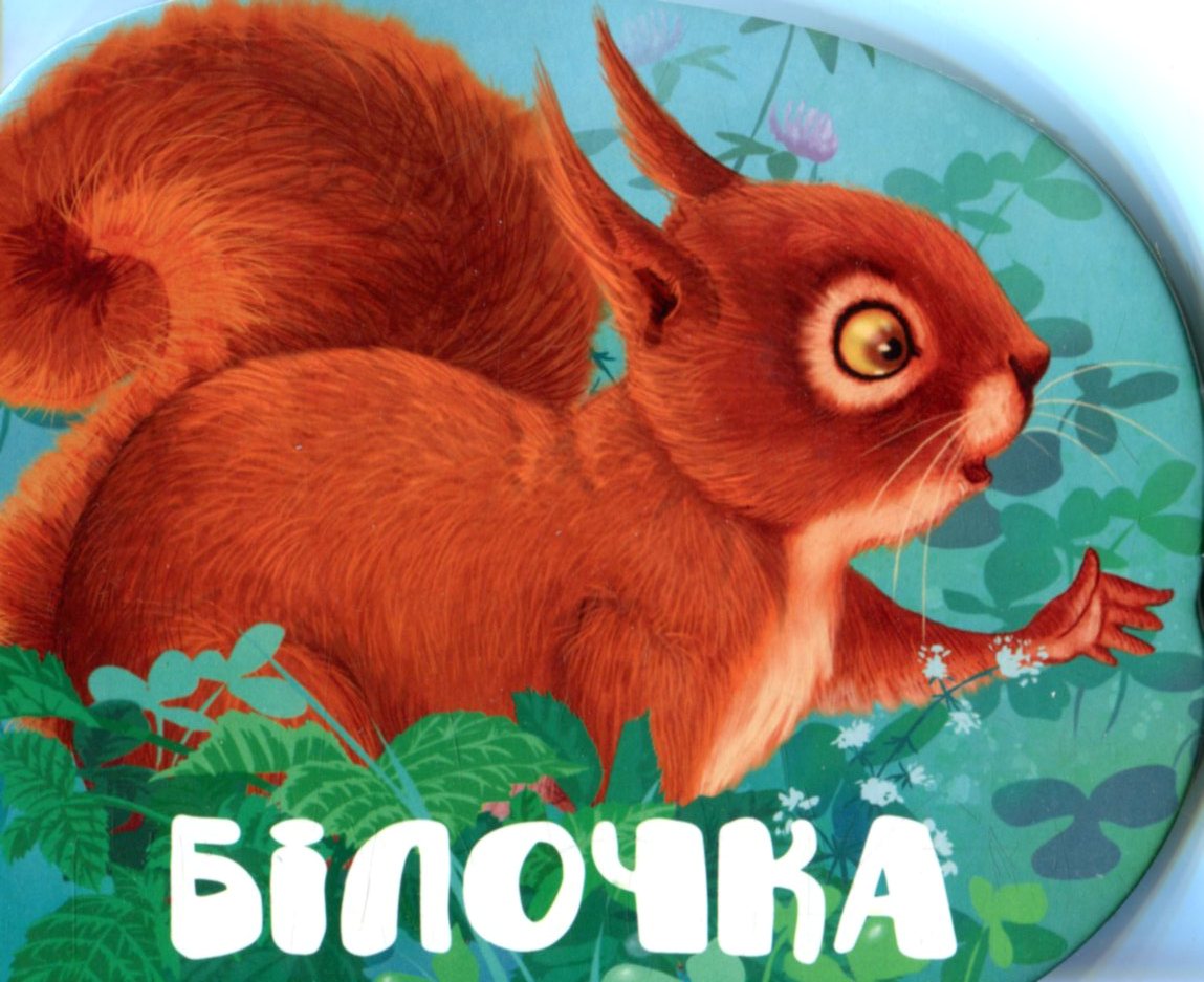 Лісові звірятка. Білочка