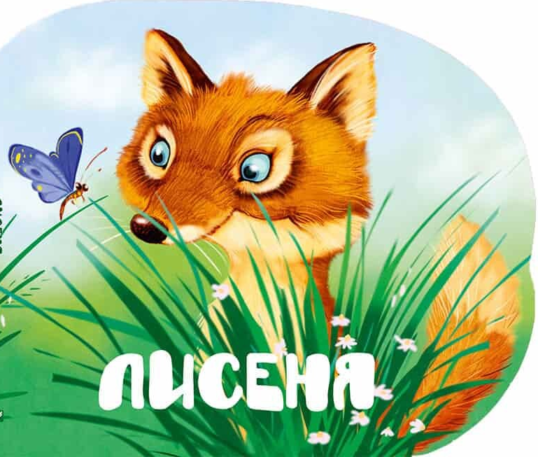 Лісові звірятка. Лисеня