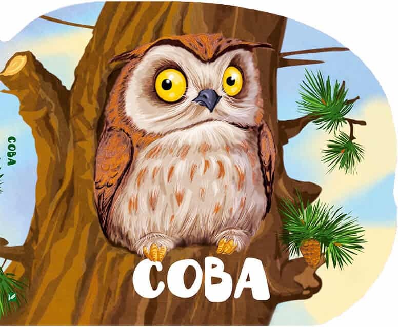 Сова. Лісові звірята
