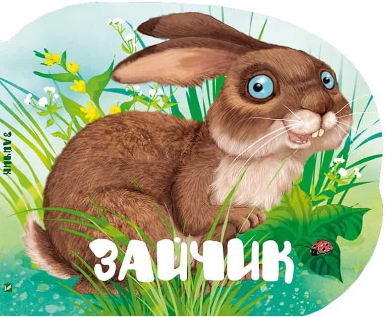 Лісові звірятка. Зайчик