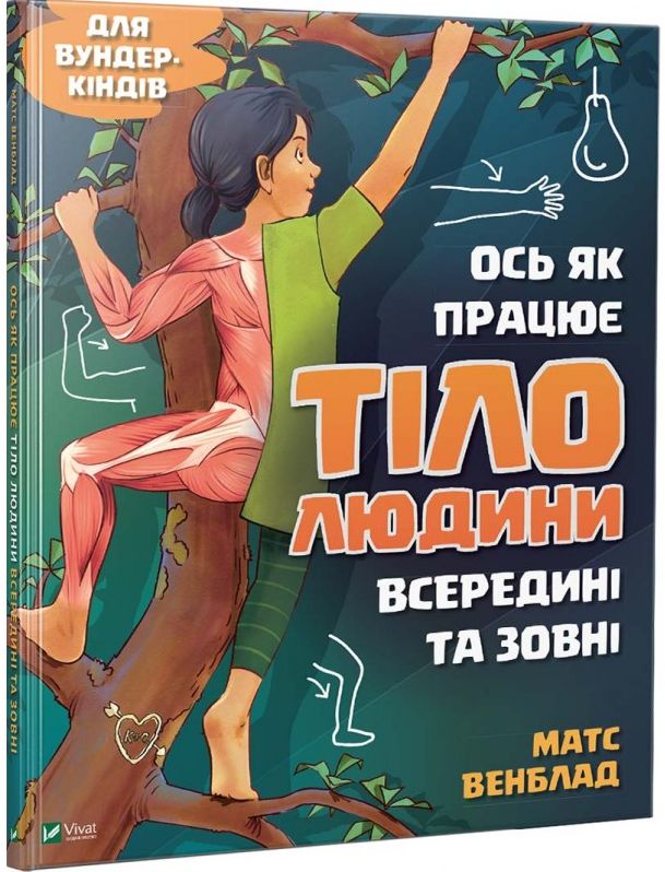 Ось як працює тіло людини всередині та зовні. Матс Венблад