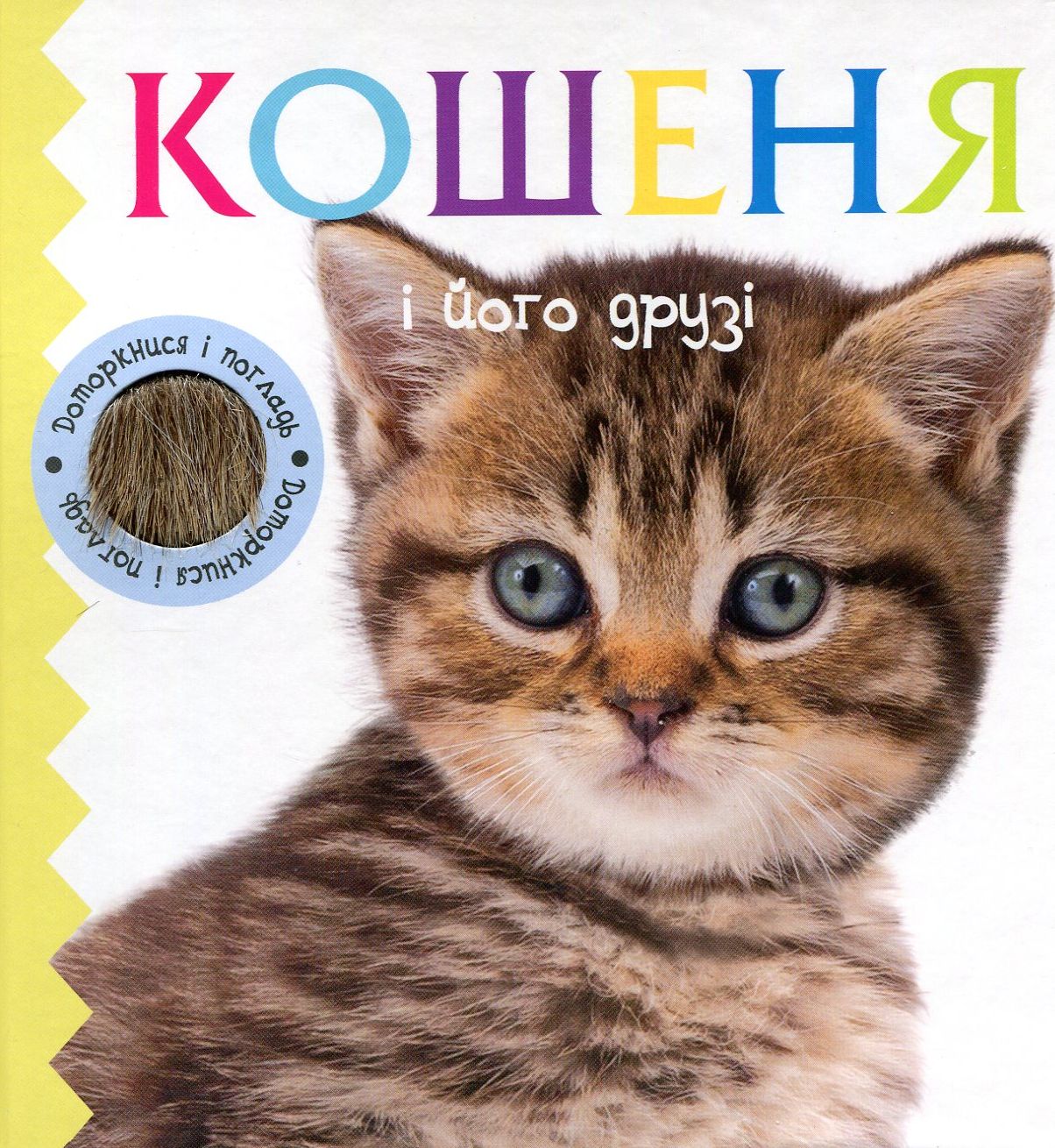 Кошеня і його друзі