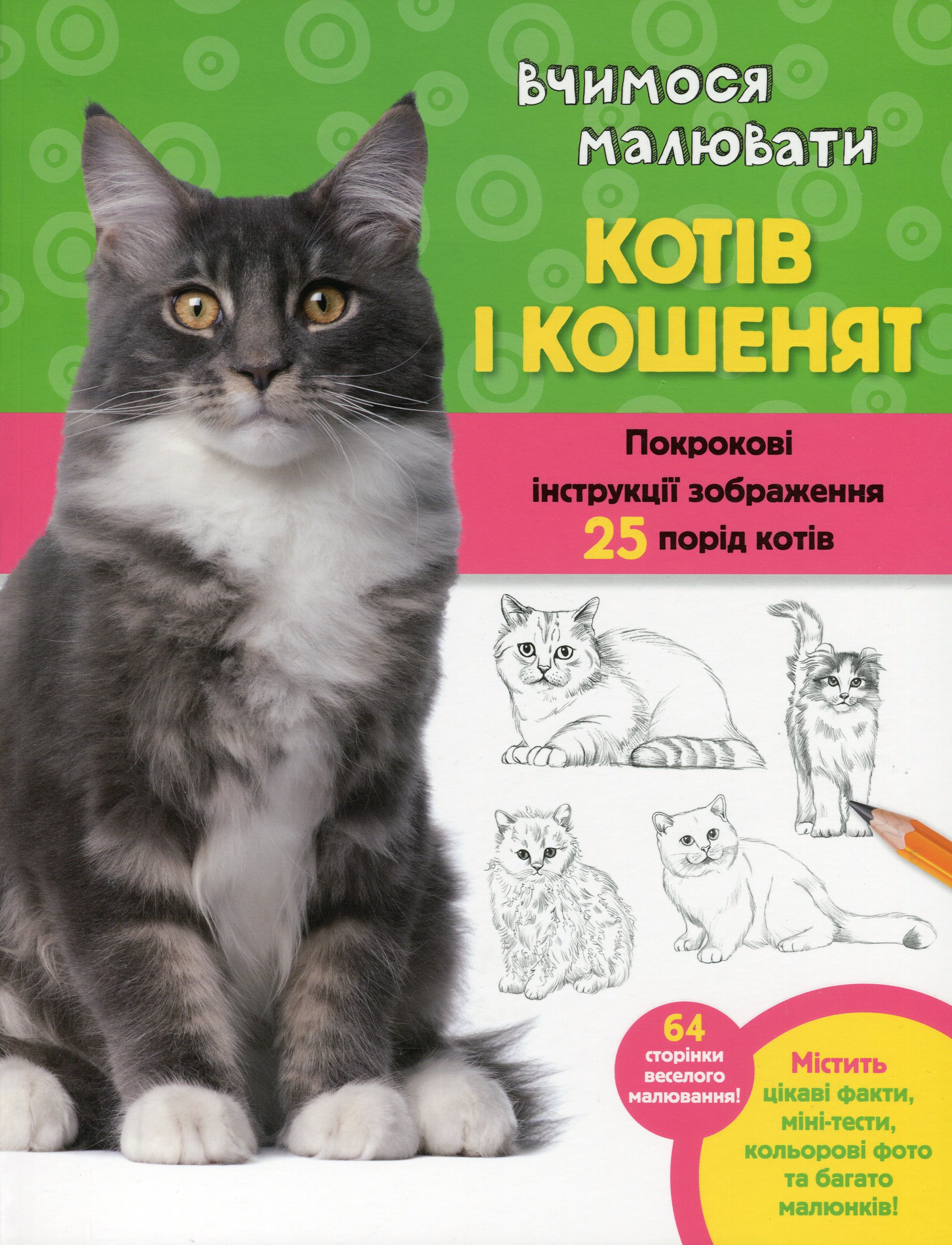 Вчимося малювати котів і кошенят. Покрокові інструкції зображення 25 порід котів
