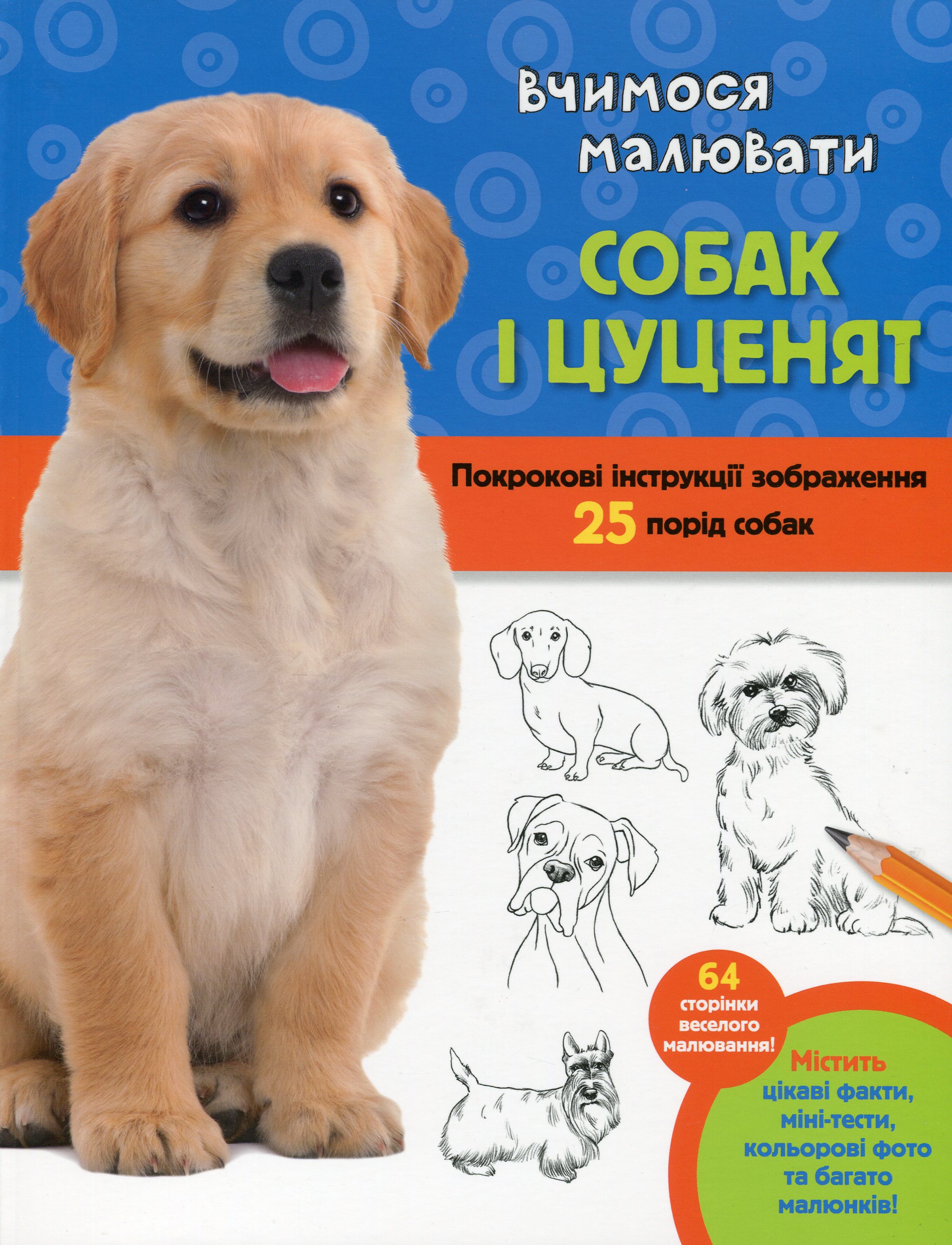 Вчимося малювати собак і цуценят. Покрокові інструкції зображення 25 порід собак