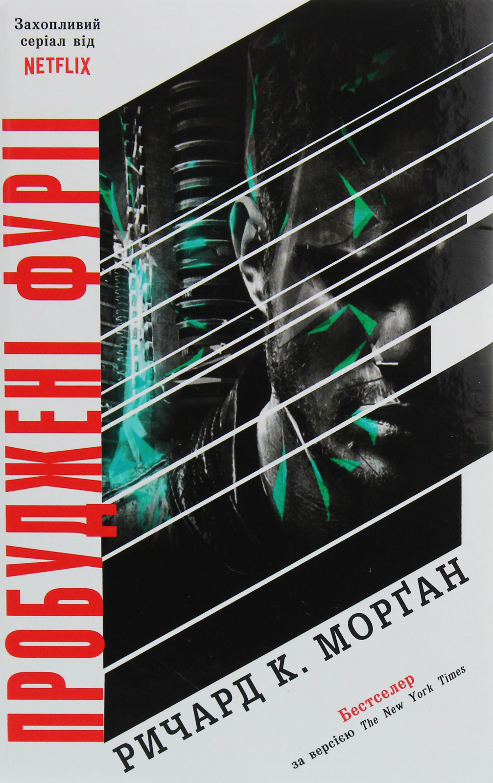 Пробуджені фурії. Книга 3