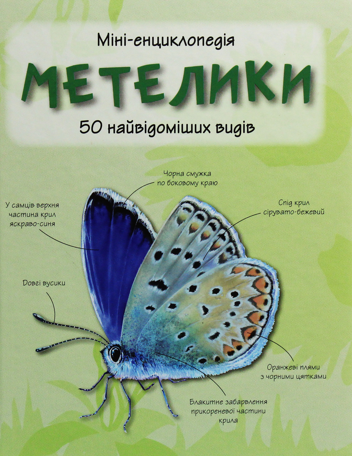 Метелики. 50 найвідоміших видів: Міні-енциклопедія