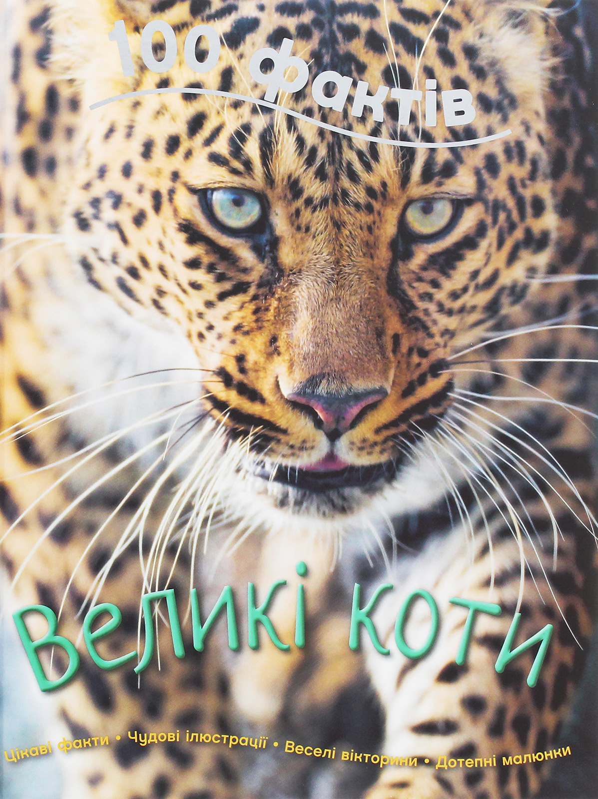 100 фактів про великих котів