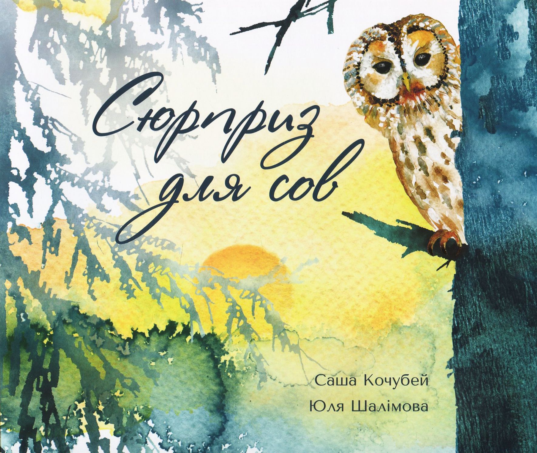 Сюрприз для сов