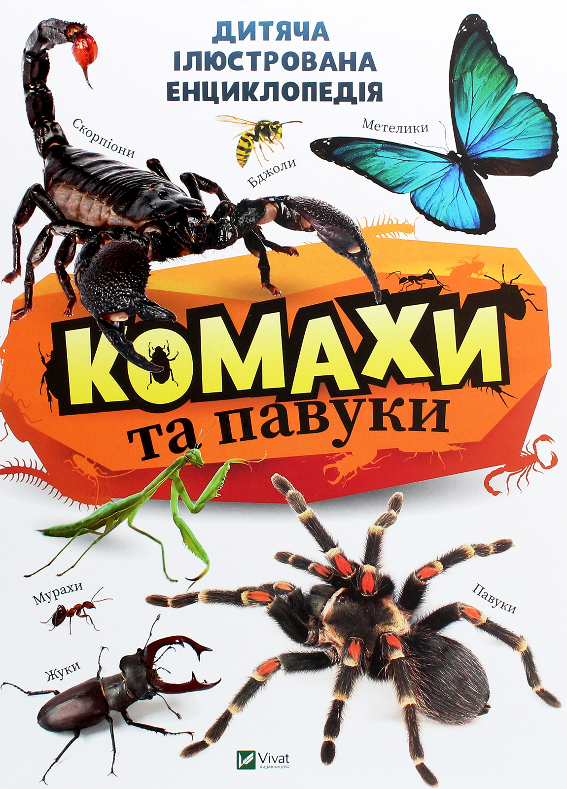 Комахи та павуки. Дитяча ілюстрована енциклопедія