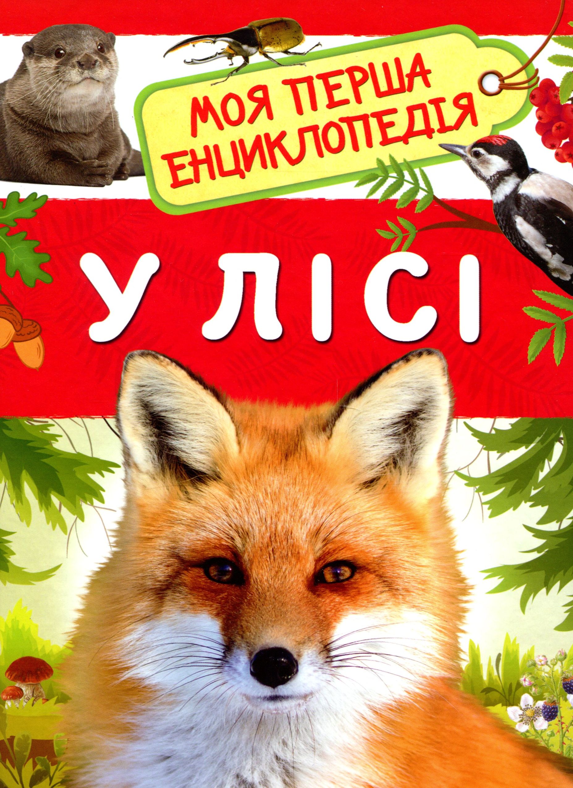 У лісі. Моя перша енциклопедія