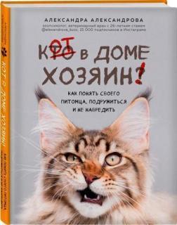 Кот в домі господар! Як зрозуміти свого вихованця, подружитися і не нашкодити