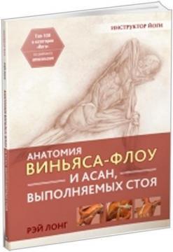 Анатомія віньяса флоу і асан, виконуваних стоячи
