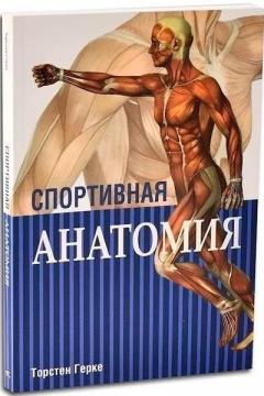 Спортивна анатомія