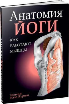 Анатомія йоги: як працюють мязи