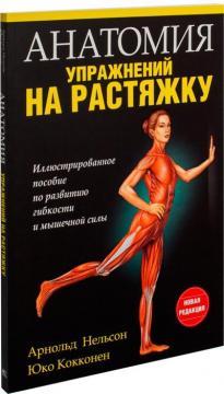 Анатомія вправ на розтяжку