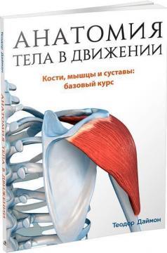 Анатомія тіла в русі